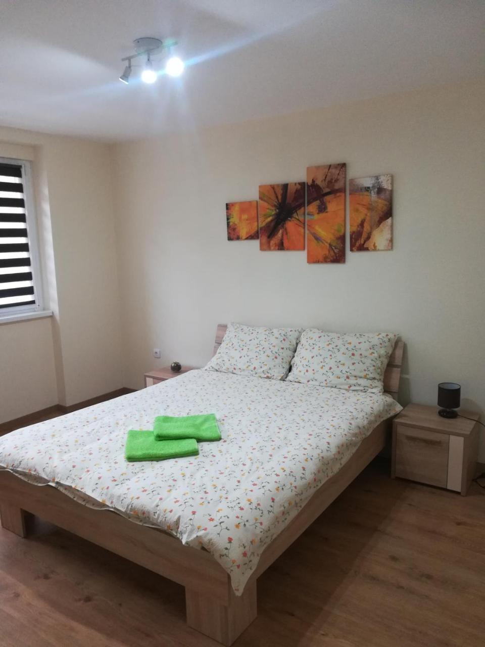 Apartment Marija Сремська Митровиця Екстер'єр фото